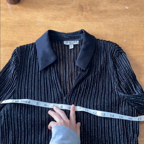 Vintage Translucent Zip Blouse with Sparkle - Picture 13 of 13